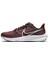 Wmns Air Zoom Pegasus 39 Spor Ayakkabı DH4072-600-600 2