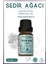 Sedir Ağacı Uçucu Yağı, %100 Saf, 10 ml 1
