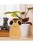 Luxury 22 cm Pou Peluş Yumuşak Dolgu Çocuk Oyun Arkadaşı 1 Adet 3