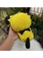 Luxury Pichu Pikachu Evrimi Pokemon Peluş Oyuncak 25CM Ithal Gerçek Görünümlü Pokemon Go Pokemon United 1 Adet 5