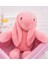 Luxury Özgüner Uyku Arkadaşım Tavşan 45 cm Peluş Tavşan Pembe 1 Adet 3