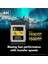 2tb Professıonal Gold LCXEXPR002T-RNENG Cfexpress 4.0 Type-B Kart 2