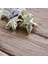 LED Işıklı Pilli Gold Silver Renkli Eskitme 10'lu 3D Yıldız LED Şerit 2