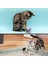 Yaylı Metal Fareli Kafes Kedi Oyun Topu Sıçrayan Spiral Kedi Topu (4887) 2