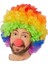 Rengarenk Gökkuşağı Afro Bonus Peruk ve Kırmızı Renk Sünger Burun 120 gr (4887) 1