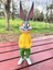 Bugs Bunny 34CM Koleksiyonluk Figür - Dekoratif 2