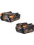 L1840S 18V 4.0 Ah + L1820S 18V 2.0 Ah Akü Seti 1