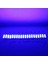 12 Volt 2 Watt Mavi Modül LED 68X16 mm (4887) 2