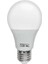 Electrıc Premıer-9 9 Watt E27 8400K Beyaz LED Ampul (4887) 1