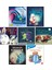 Prenses ve Fasulye Sırığı + Gecedeki Işık + Bu Ses De Ne? + Teonun Gece Korkusu Kitabı + Karanlıktaki Tilki + Arkadaşım Karanlık + Korktuğum Zaman / 7 Kitap Set 1