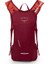 Kitsuma 3 Kadın Bisiklet Su Taşıma Çantası Claret Kırmızı, 2.5l 1