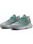 Giannis Immortality 4 Unisex Basketbol Ayakkabısı FQ3680-002 Gri 3