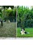 Zoysia Japonica Çim Fidesi 21 M2 Için 336 Adet 84'lük Viol (4 viol) 1