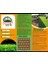 Zoysia Japonica Çim Fidesi 21 M2 Için 336 Adet 84'lük Viol (4 viol) 4
