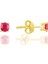 Işıltılı 925 Ayar Gümüş Altın Kaplama Ruby Taşlı Tek Taş Küpe 4 mm 1