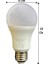 (12 adet) Philips 13W SARI IŞIK E27 DUYLU (Kalın Duy) LED Ampul 3