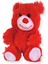 Kırmızı Peluş Ayı Sevgililer Günü 17cm 1
