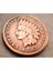 Abd 1883 Yılı Kızılderili 1 Cent Temiz Çap: 19 mm 1