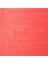 : Professional Akrilik Mürekkep : 30 ml : Fluorescent Red 983 2