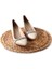 Blnr 02806 6 cm Topuklu Kadın Stiletto Ayakkabı 1