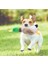 Sesli Ördek Şekilli Peluş Köpek Oyuncağı 1