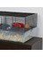 Favola Hamster Kafesi, Su Şişesi, Tekerlekli, Yem Kasesi ve Gizli Hamster Kafesi, Ölçüler: 60 x 36 x 30 cm (U x G x Y) 4