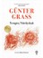 Bir Komiser Zen Macerası Set - 4 Kitap Takım 1