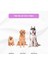 4 Adet Köpek Topu Köpek Oyuncağı Top Köpek Eğitim Oyuncağı - Köpek Oyun Topu 4