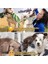 Köpek Oyuncağı Fanatik Üçlü Set Diş Ipi Diş Sağlığı Köpek Topu Sarı Kırmızı Orta Iri Irk Diş Kaşıma Ipi 5
