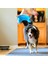 Chuckit! Indoor Fetch Squirrel Dog Toy (9 Inch), Orange And Blue 5