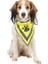 Köpek Bandanası Xs-S 22-28 cm, Sarı 3