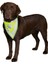 Köpek Bandanası Xs-S 22-28 cm, Sarı 4