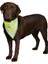 Köpek Bandanası Xs-S 22-28 cm, Sarı 5