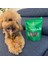 Horoz Ayak Çiğnemelik Köpek Ödül MAMASI Doğal, Glutensiz, 100 gr 4