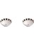 Luxury Palms Kase 13CM 2'li 04ALM005905 1 Adet 1