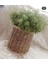 Luxury Hasır Bambu Rattan Saksı , Kaşıklık , Organizer Sepet 1 Adet 1