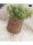 Luxury Hasır Bambu Rattan Saksı , Kaşıklık , Organizer Sepet 1 Adet 2