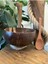 Luxury Jumbo Boy Hindistan Cevizi Kase, Kaşık ve Kase Altlığı - Bowl Kasesi - Bowl Kaşığı - Coconut Bowl 1 Adet 5