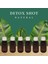 Luxury 6 Adet Detox Şişesi Ginger Shot Amber Cam Çok Amaçlı 100ML 1 Adet 2