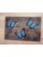 Luxury Kesim Panosu Kesim Cam Kırılmaz 20X30 1 Adet 5