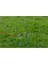 Professional Burgulu Köpek Bağlama Kazık Bahçe Kazığı 40CM x 8mm 3