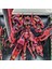 Gundam Hg Güçlü Saldırı Özgürlük Taipan Mecha Set Yapboz Model Mg Unicorn Oyuncaklar (Yurt Dışından) 1