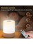 Dokunmatik Gece Lambası USB LED Lamba Uzaktan Kumanda Anahtarı Üç Renkli Işıklar Yatak Odası Taşınabilir Masa Başucu Gece Lambası (Yurt Dışından) 3