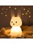 Çocuk Odası Için Gece Lambası Sevimli Tavşan Lambası Kreş Kız Erkek Çocuk Kawaii Odası Dekoru USB Silikon Tavşan Gece Lambası Için Hediyeler (Yurt Dışından) 1