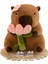 Kapibara Capybara Peluş Oyuncak Çocuk HEDIYESI-30CM (Yurt Dışından) 1