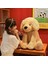 Sam Dog Büyük Boy Peluş Oyuncak Golden Hair Doll Peluş Bebek Köpek (Yurt Dışından) 4