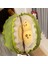Durian Doll Çıkarılabilir Yırtık Çekme Oyuncak (Yurt Dışından) 2