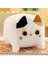 30CM Kare Kedi Peluş Oyuncak Sevimli Kedi Yastık (Yurt Dışından) 3