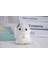 5 Sevimli Sevimli Mini Hamster Bebek Bebek Çantası Asılı Süslemeler Karikatür Küçük Hamster Peluş Bebekler (Yurt Dışından) 3