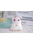 5 Sevimli Sevimli Mini Hamster Bebek Bebek Çantası Asılı Süslemeler Karikatür Küçük Hamster Peluş Bebekler (Yurt Dışından) 4